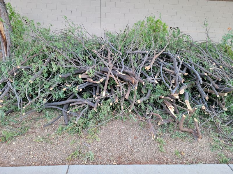 Proper Disposal of Trimmings