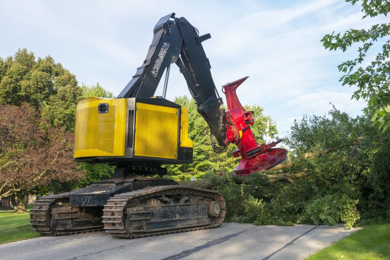 Large Tree Removal Equipment